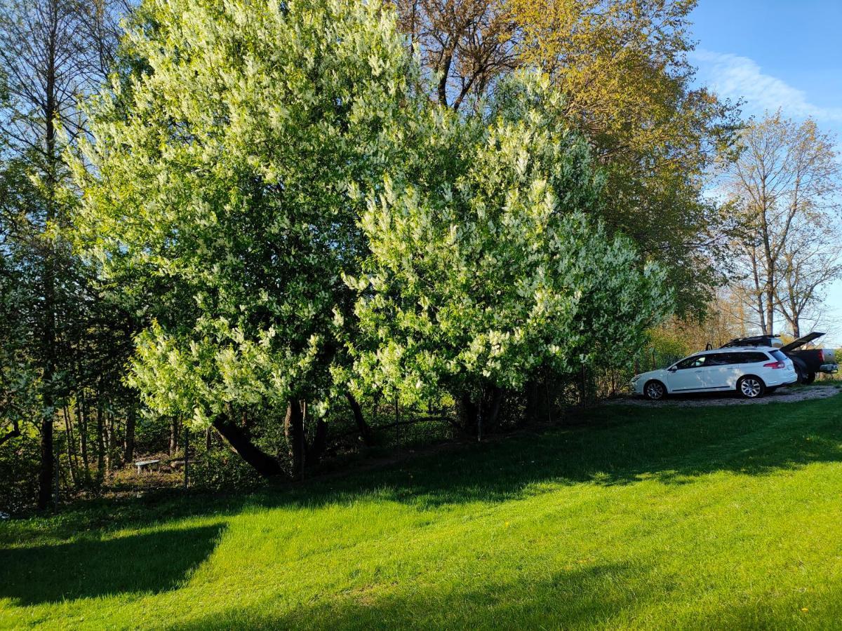 Holiday home Wczasy Mazurskie - Caloroczny Bez Mazury